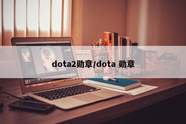 dota2勋章/dota 勋章