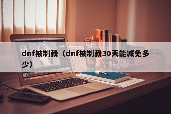 dnf被制裁(dnf被制裁30天能减免多少)
