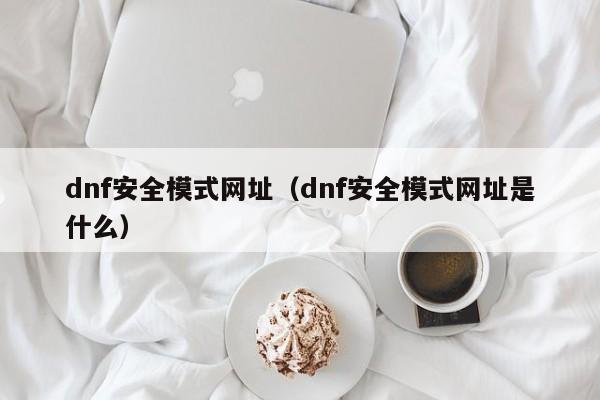 dnf安全模式网址(dnf安全模式网址是什么)