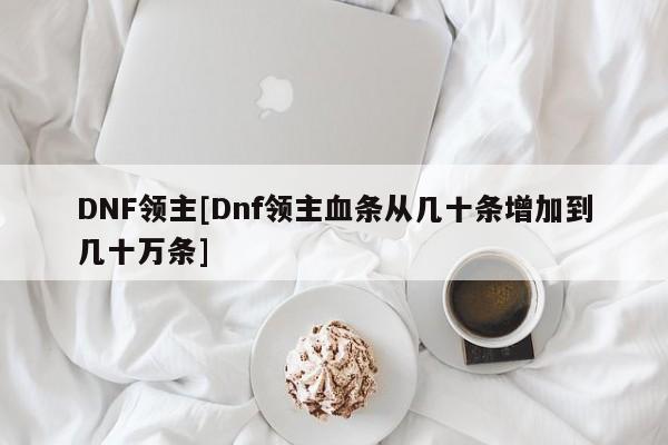 DNF领主[Dnf领主血条从几十条增加到几十万条]