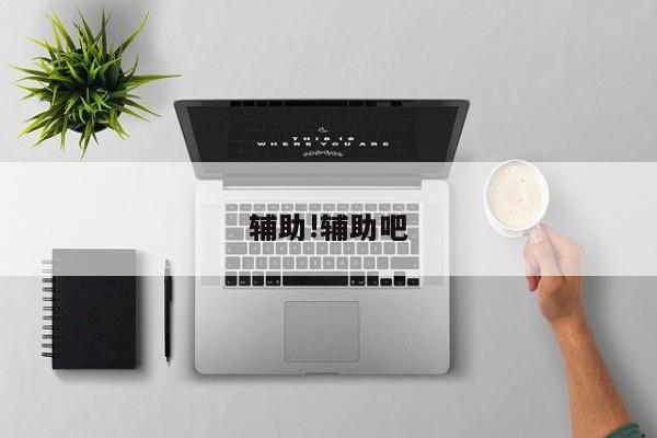 辅助!辅助吧