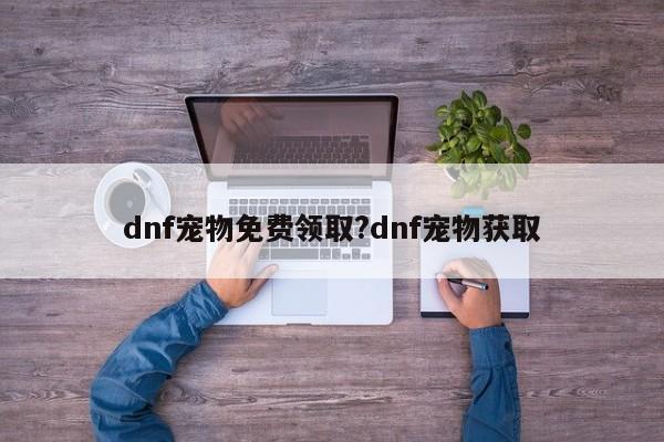 dnf宠物免费领取?dnf宠物获取