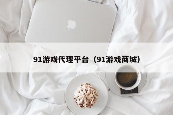 91游戏代理平台（91游戏商城）