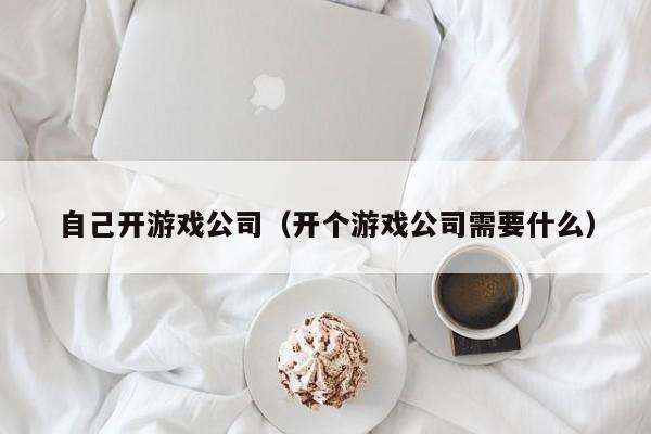 自己开游戏公司(开个游戏公司需要什么)