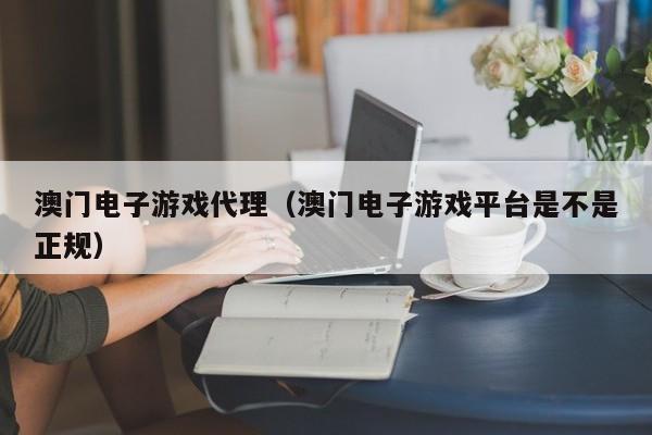 澳门电子游戏代理(澳门电子游戏平台是不是正规)
