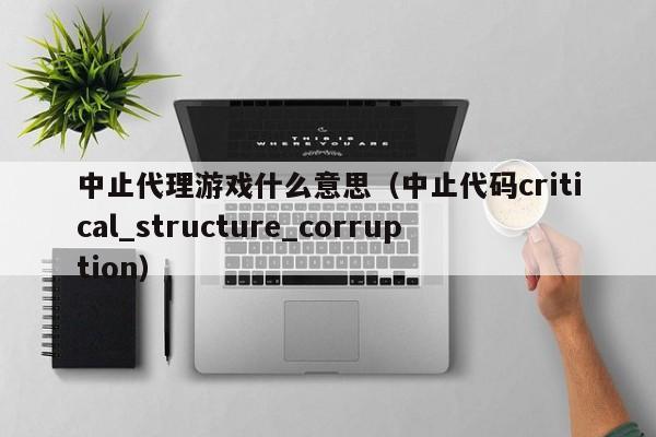 中止代理游戏什么意思(中止代码critical_structure_corruption)