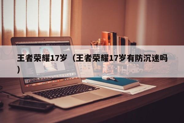 王者荣耀17岁(王者荣耀17岁有防沉迷吗)